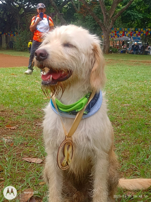 Simón