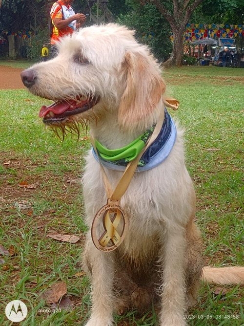 Simón