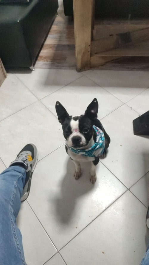 Greta