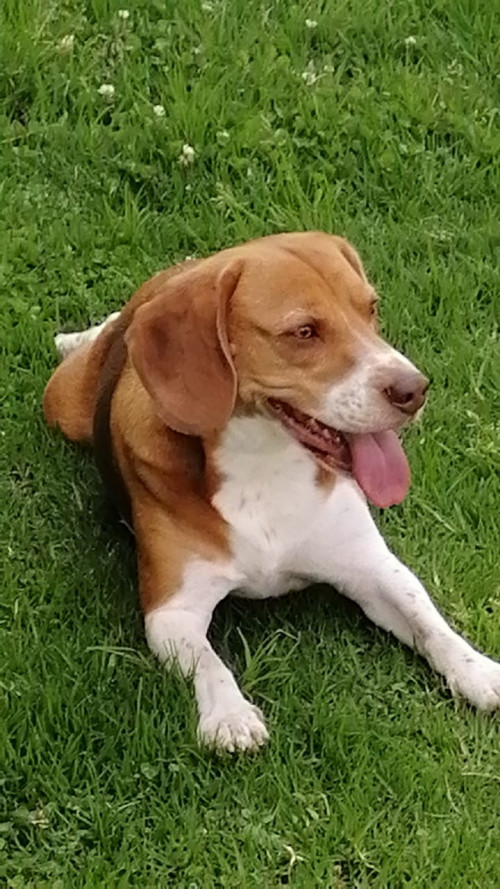 Max