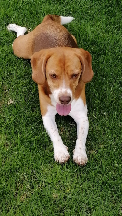 Max