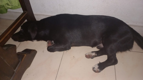 Ares