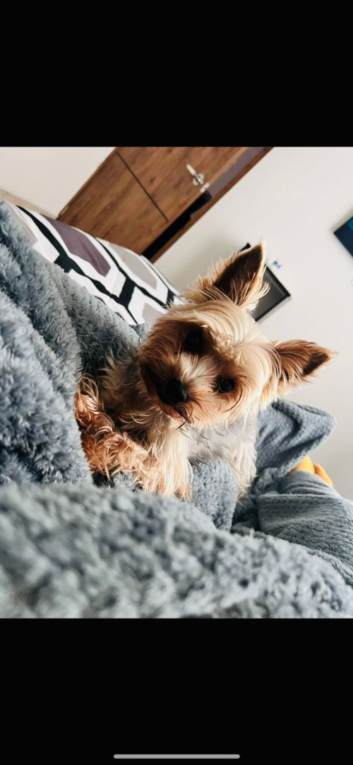 Paco