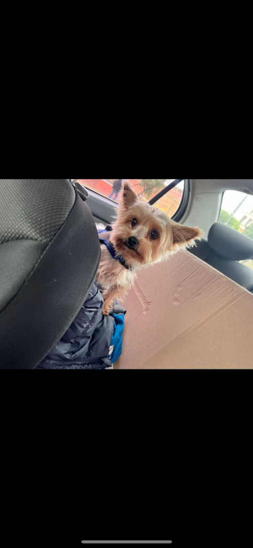 Paco