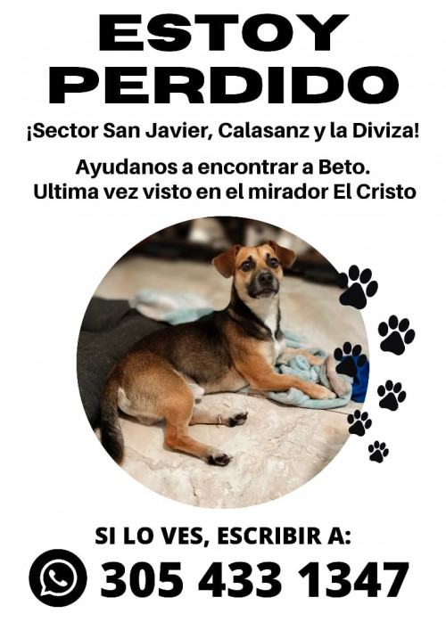 Beto