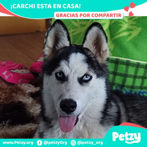 Foto de mascota Carchi