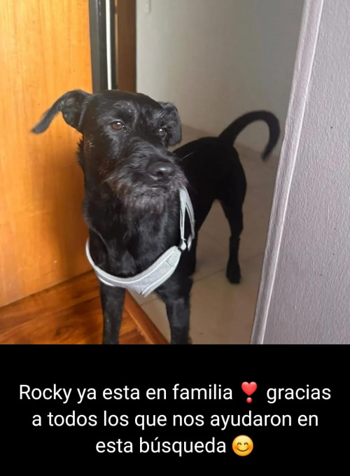 Rocky
