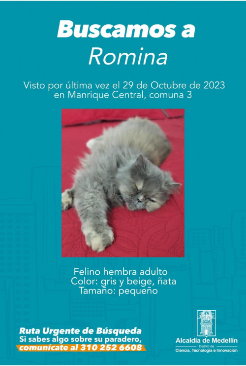 Romina