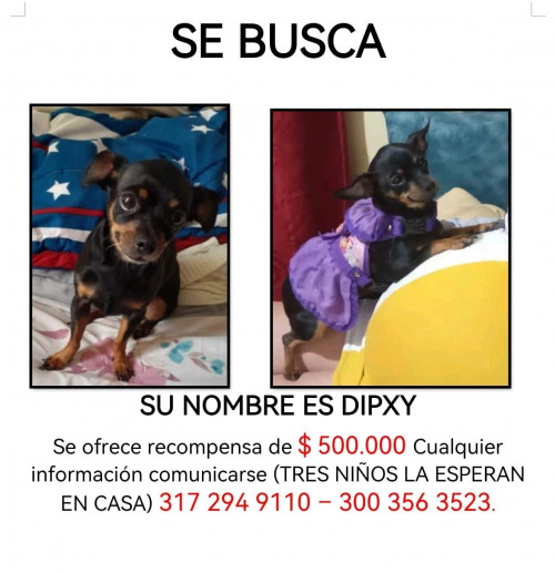 Dipxy