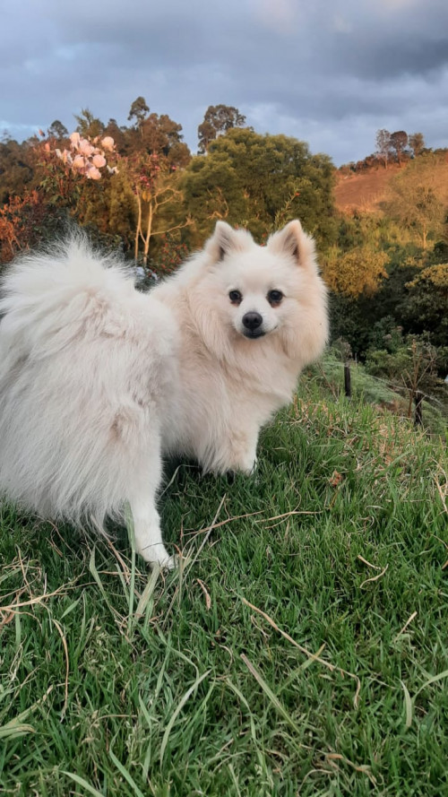 Sam