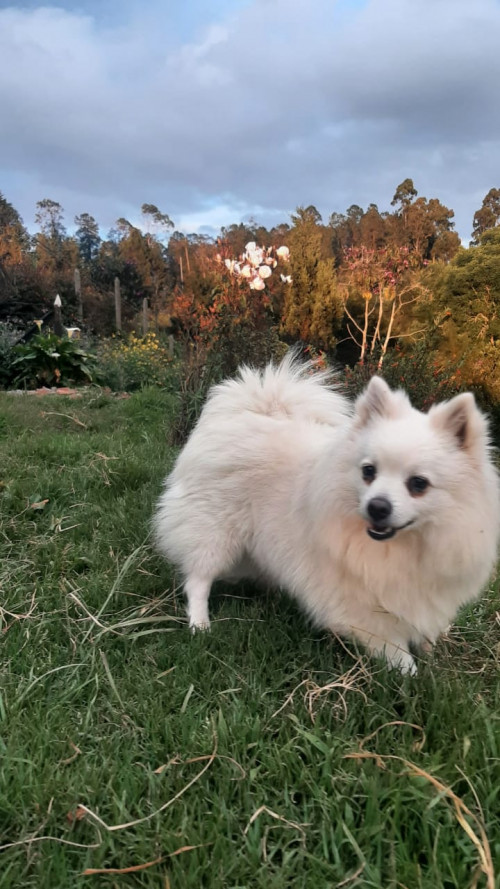 Sam