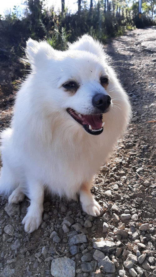 Sam