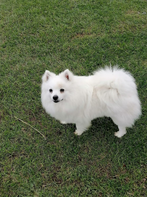 Sam