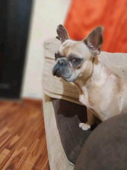 Zeus
