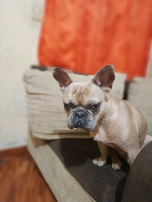 Zeus