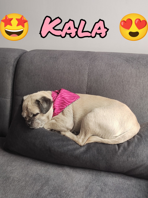 Kala