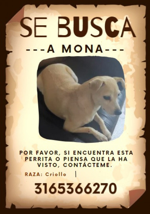 Mona