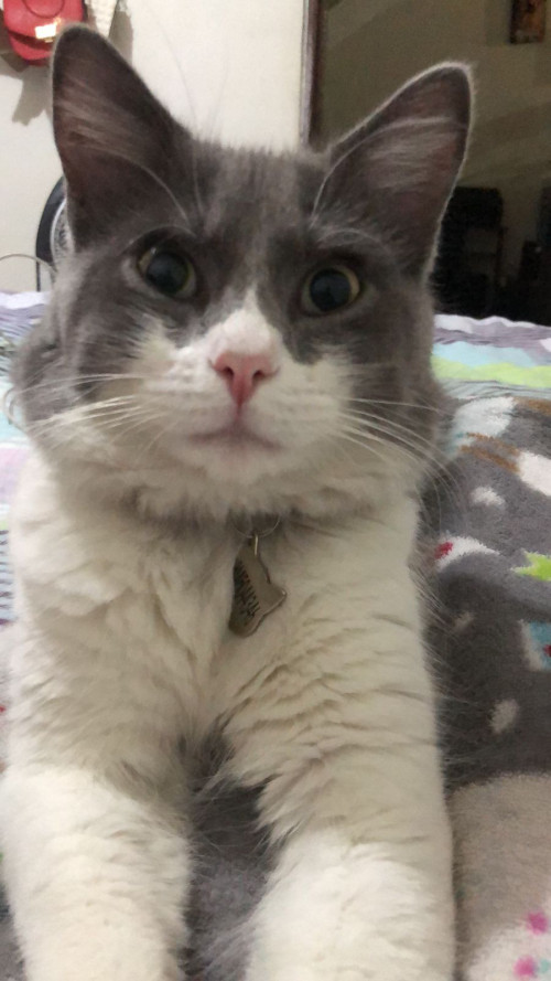 Gary