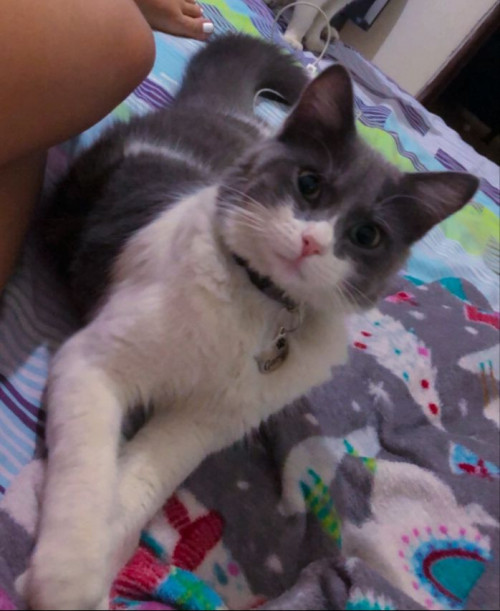 Gary