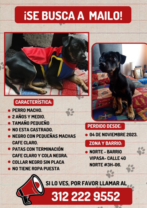 Mailo