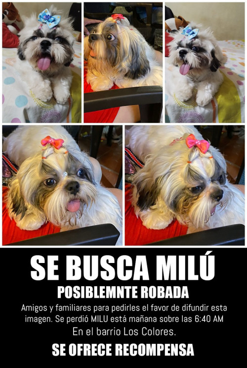 Milú
