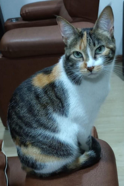 Chloe