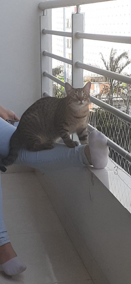 Kira