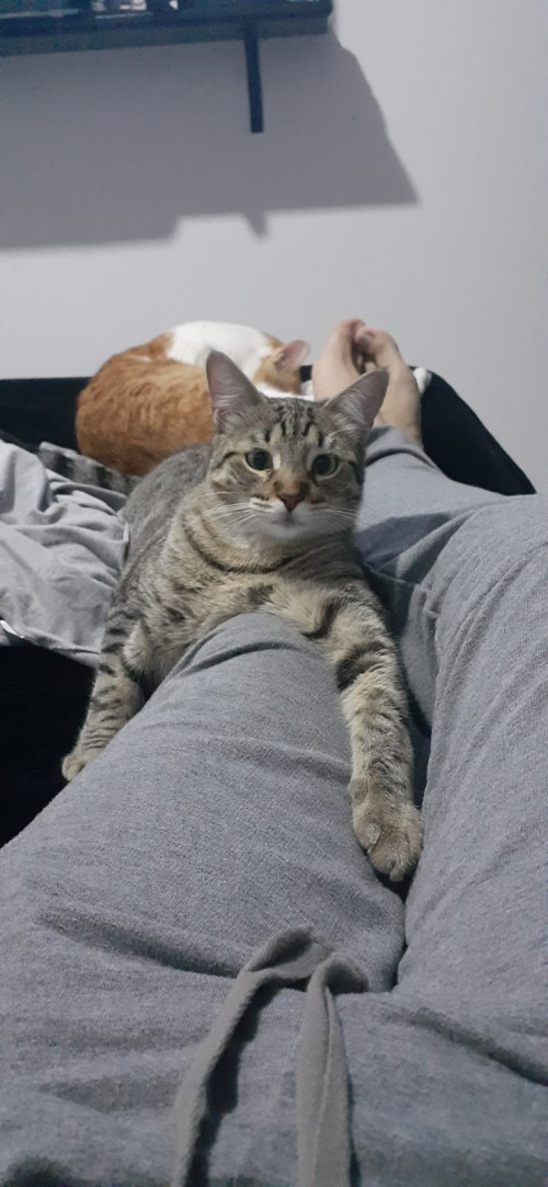 Kira