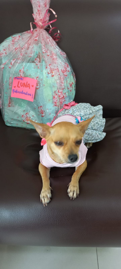 Luna