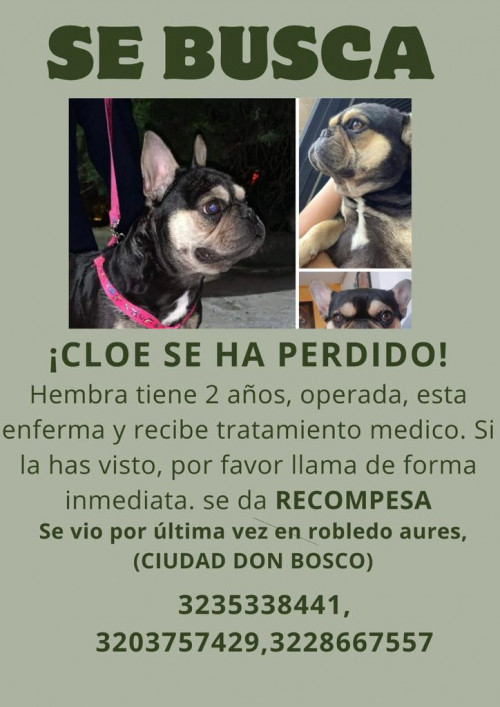Cloe