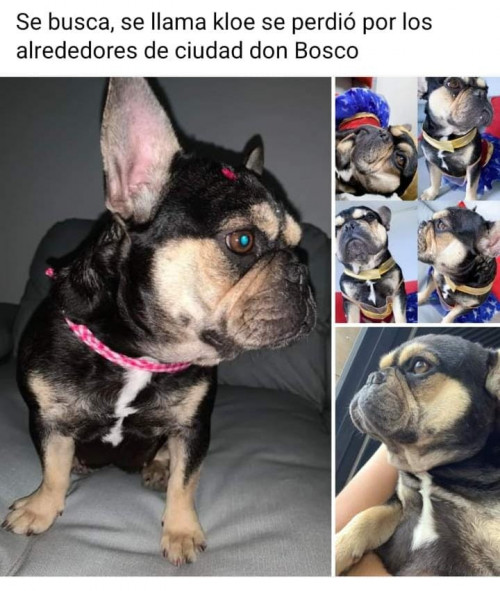 Cloe