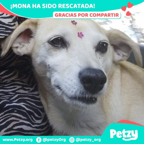 Foto del reencuentro de Mona