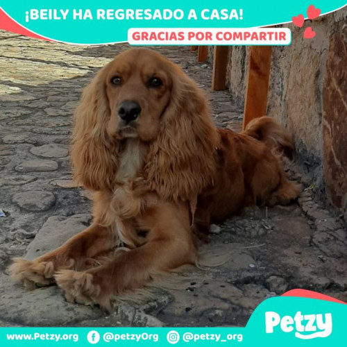 Foto del reencuentro de Beily