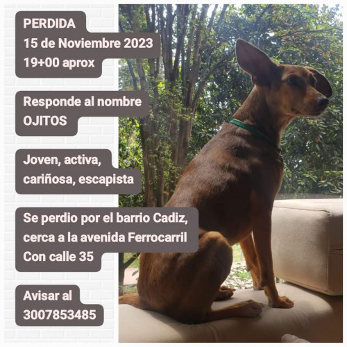 Ojitos