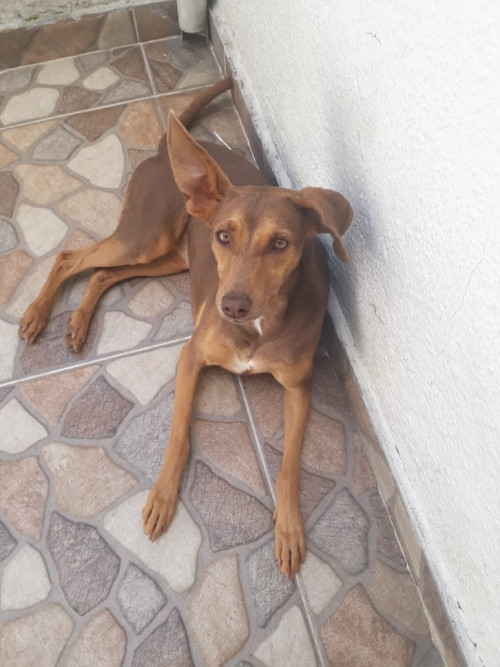 Ojitos