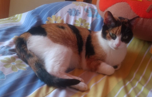 Princesa