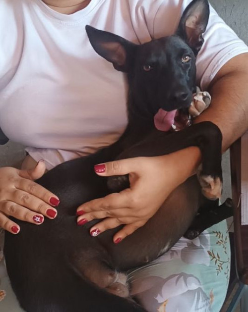 Niña O Negra