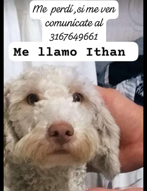 Ithan