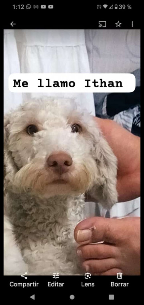 Ithan