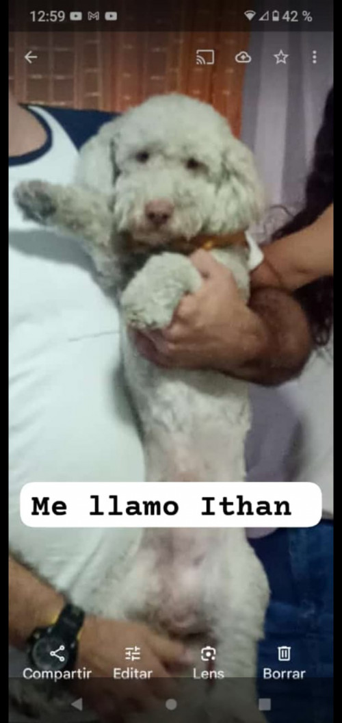 Ithan