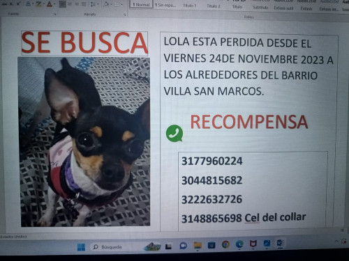 Lola