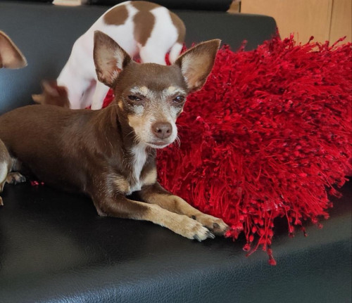 Princesa