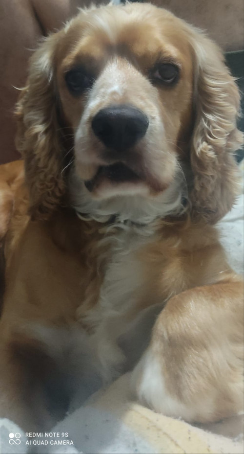 Matías