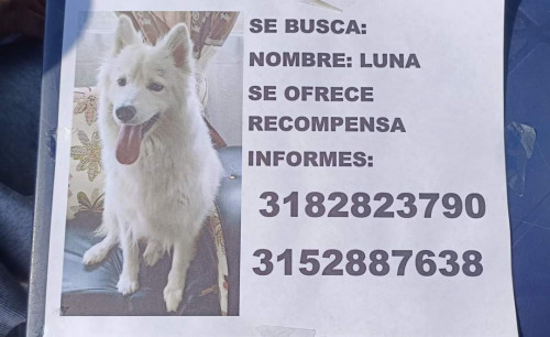 Luna