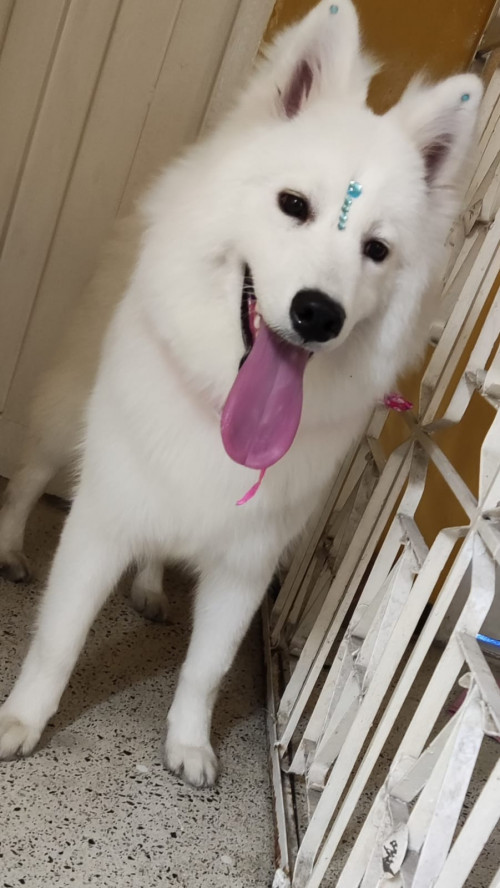 Luna