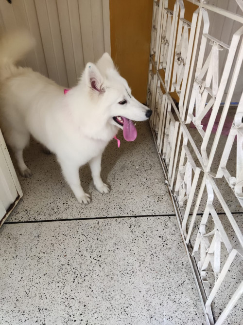 Luna