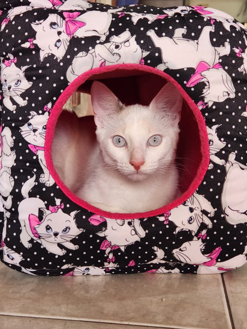 Mia