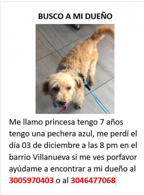 Princesa