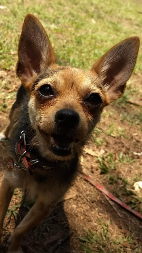 Molly