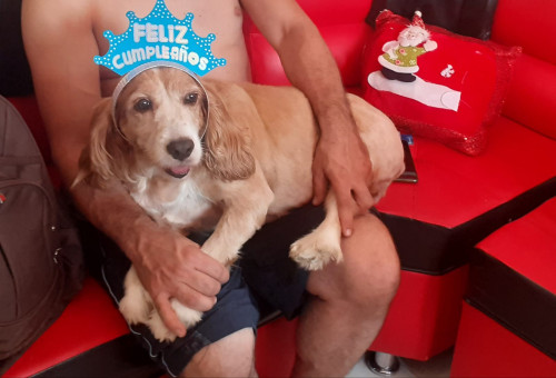 Manuela